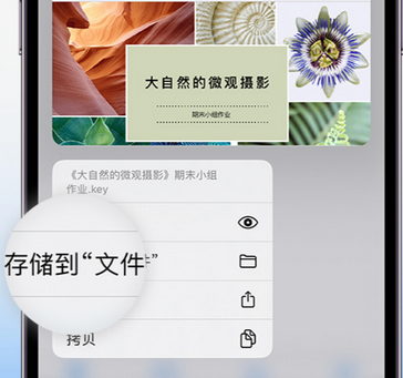 绥芬河apple维修中心分享iPhone文件应用中存储和找到下载文件