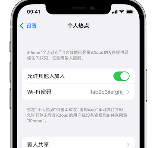 绥芬河apple服务站点分享iPhone上个人热点丢失了怎么办 