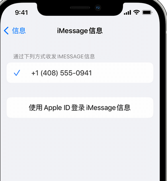 绥芬河apple维修iPhone上无法正常发送iMessage信息 