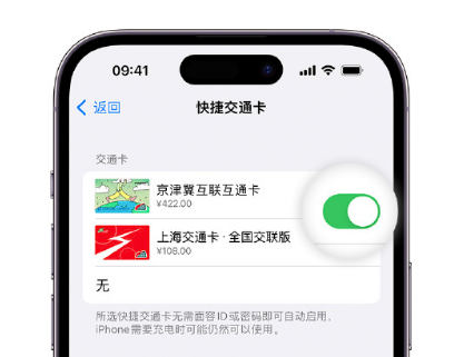 绥芬河apple维修点分享iPhone上更换Apple Pay快捷交通卡手绘卡面 