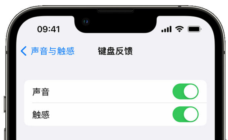 绥芬河苹果手机维修分享iPhone 14触感键盘使用方法 