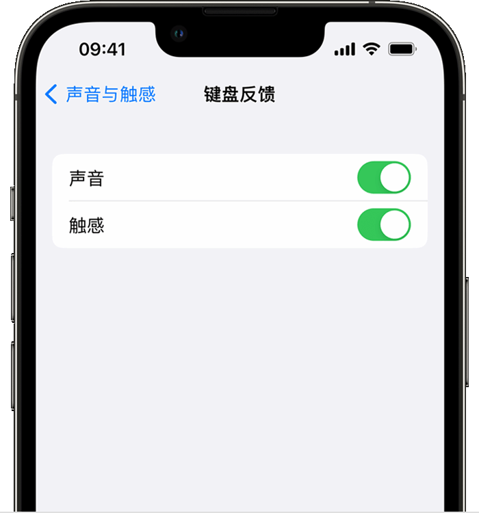 绥芬河苹果14维修店分享如何在 iPhone 14 机型中使用触感键盘 