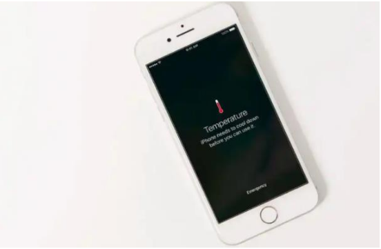 绥芬河苹果手机维修分享iPhone 手机发热如何快速降温 
