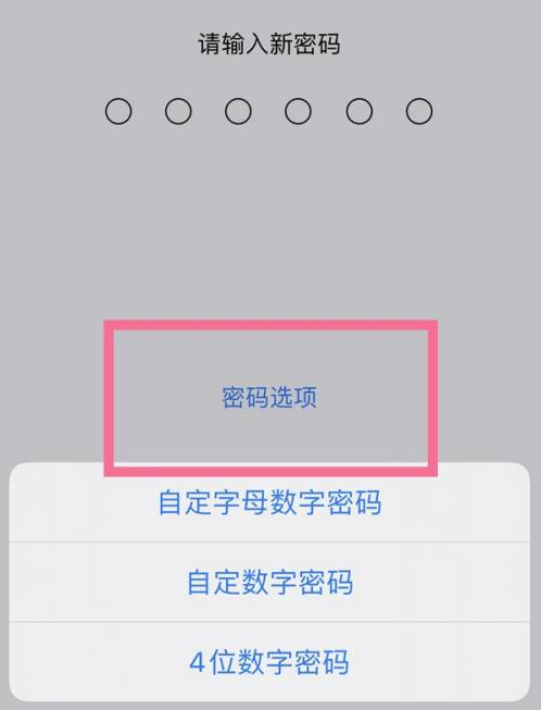 绥芬河苹果14维修分享iPhone 14plus设置密码的方法 