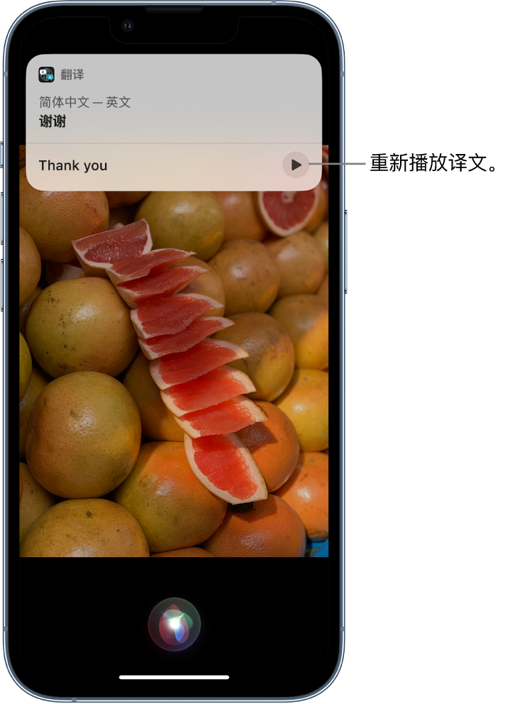 绥芬河苹果14维修分享 iPhone 14 机型中使用 Siri：了解 Siri 能帮你做什么 