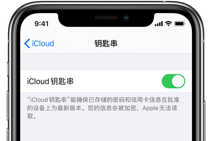 绥芬河苹果手机维修分享在 iPhone 上开启 iCloud 钥匙串之后会储存哪些信息 