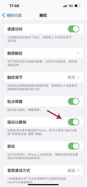 绥芬河苹果手机维修分享iPhone手机如何设置摇一摇删除文字 