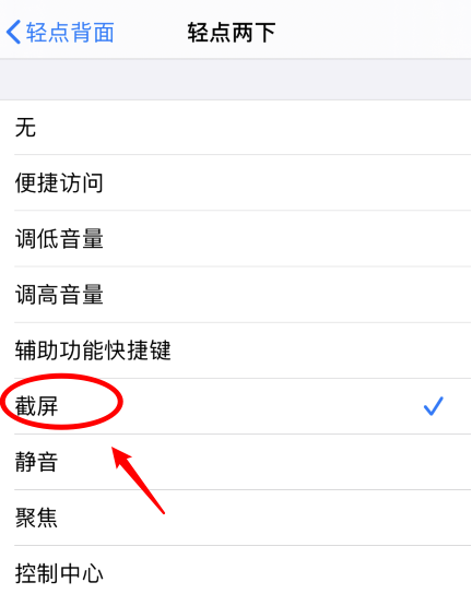 绥芬河苹果手机维修分享iPhone12如何启用双击截屏 